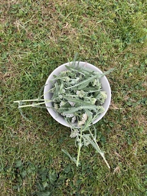Herbal Remedies and Skincare Making Workshop