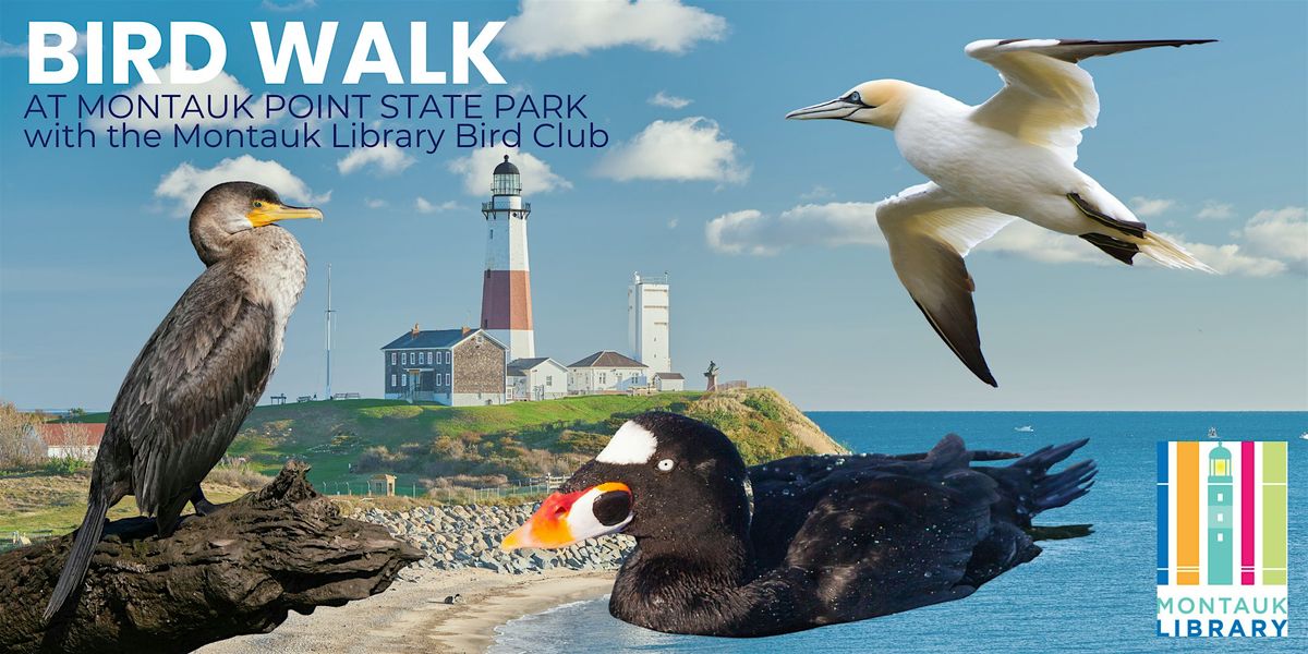 Bird Walk at Montauk Point (Rain Date) at Montauk Point State Park on ...