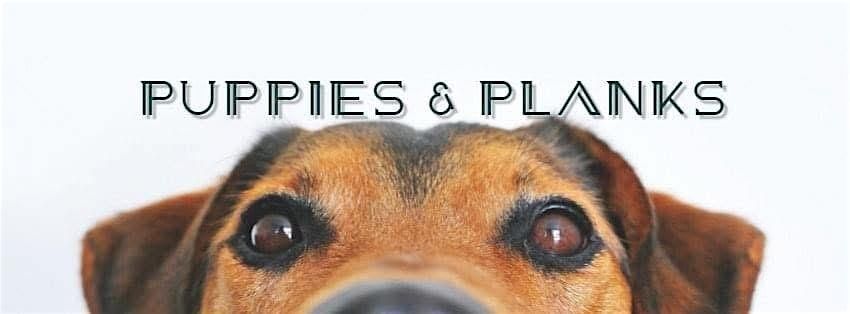 Puppies and Planks class in studio!