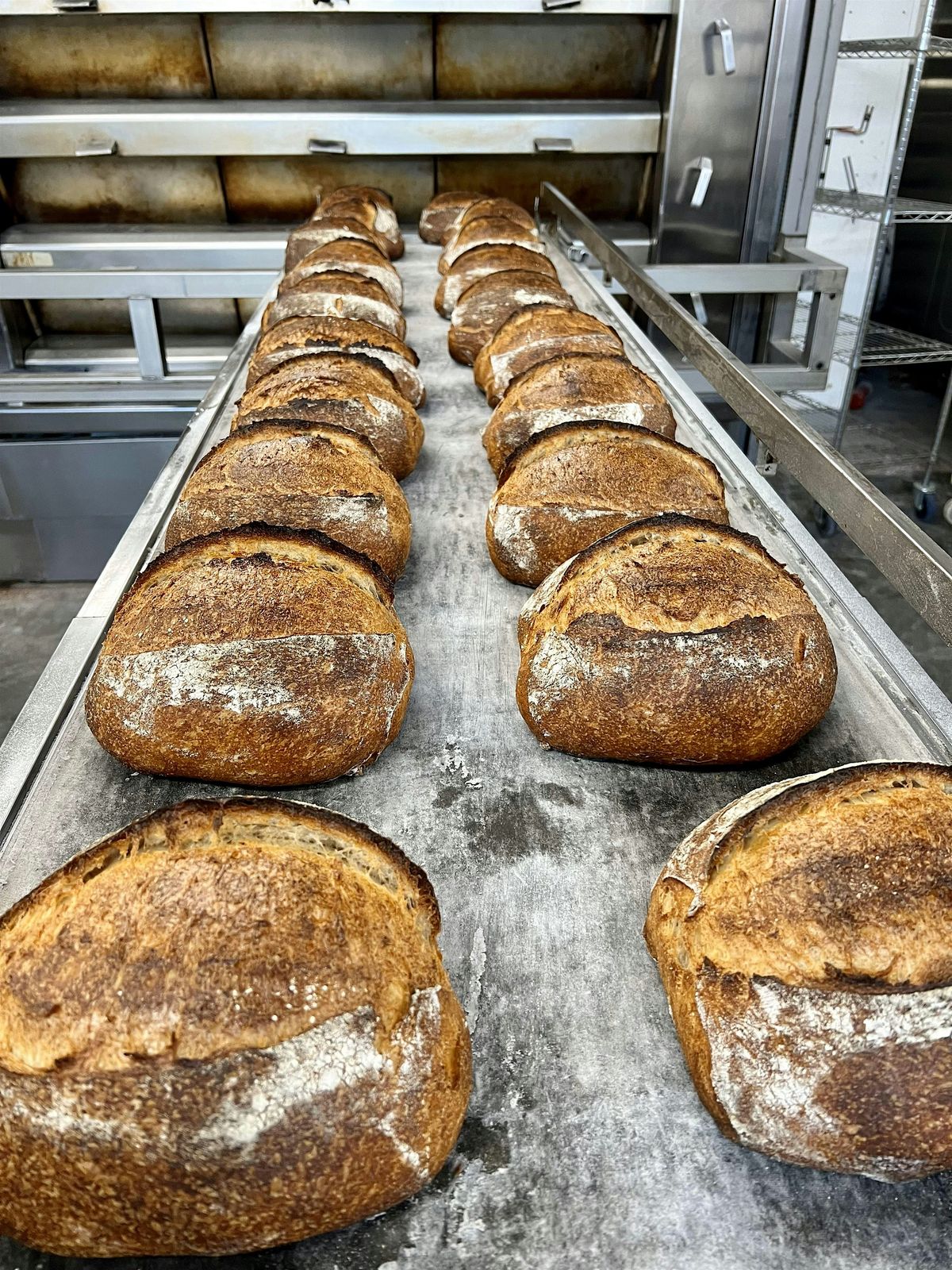Bread Workshop