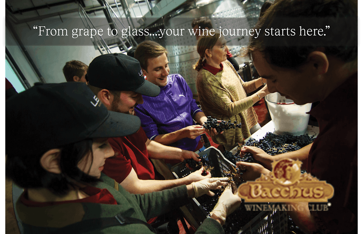 You Be the Winemaker \u2014 Craft It. Bottle It. Love It. Harvest at Domenico!