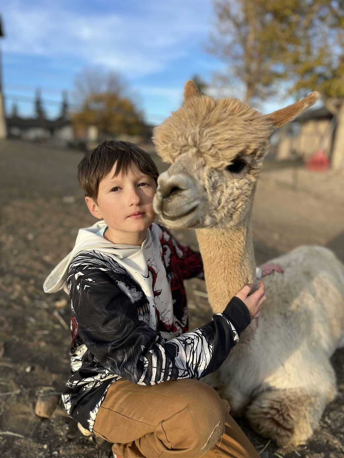 Alpaca Farm Tour