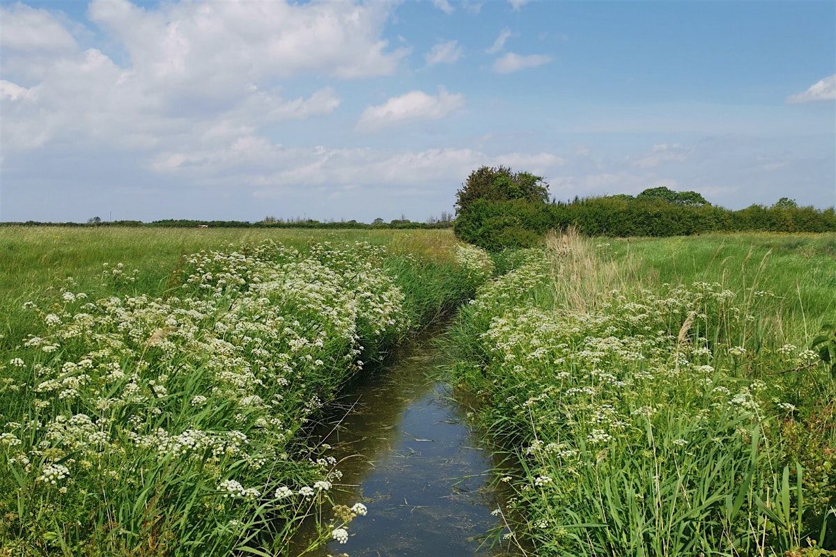 Avon Wildlife Trust Annual General Meeting 2025