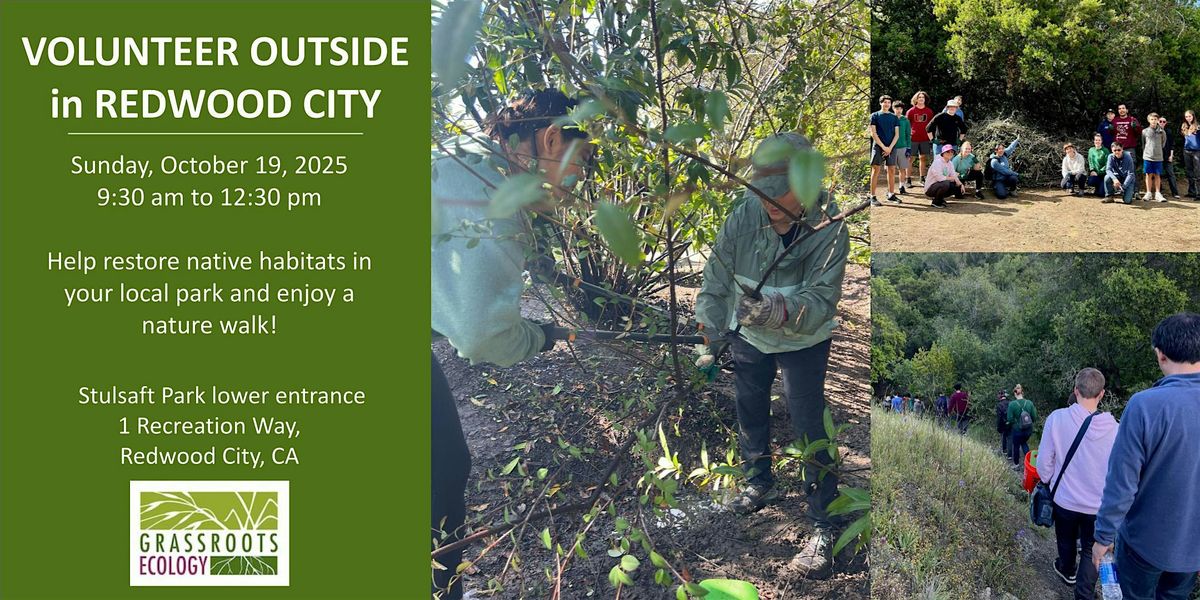 Volunteer in Redwood City: Stulsaft Park Habitat Restoration