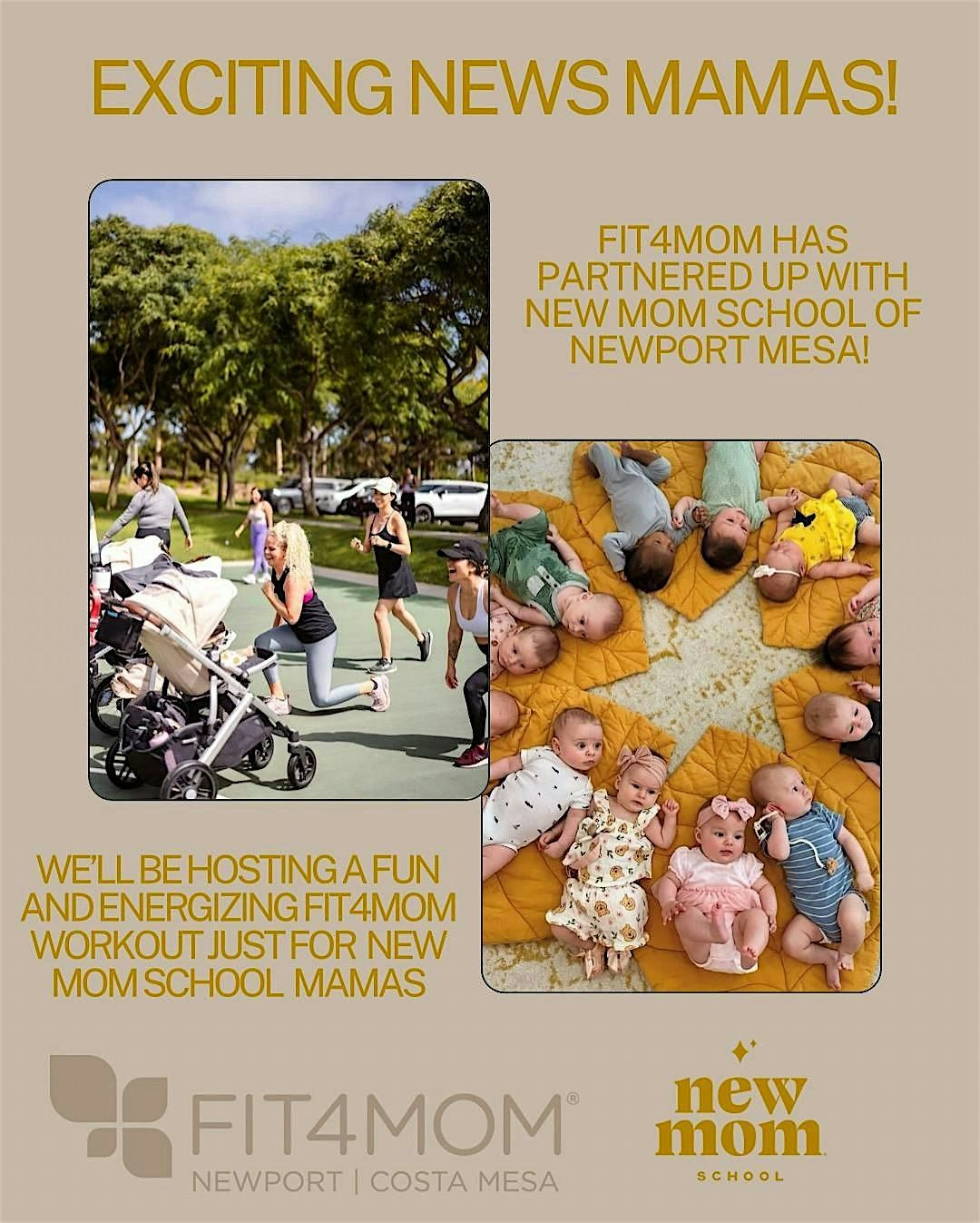 Fit4Mom Newport Costa Mesa X New Mom School Newport Mesa Bonita