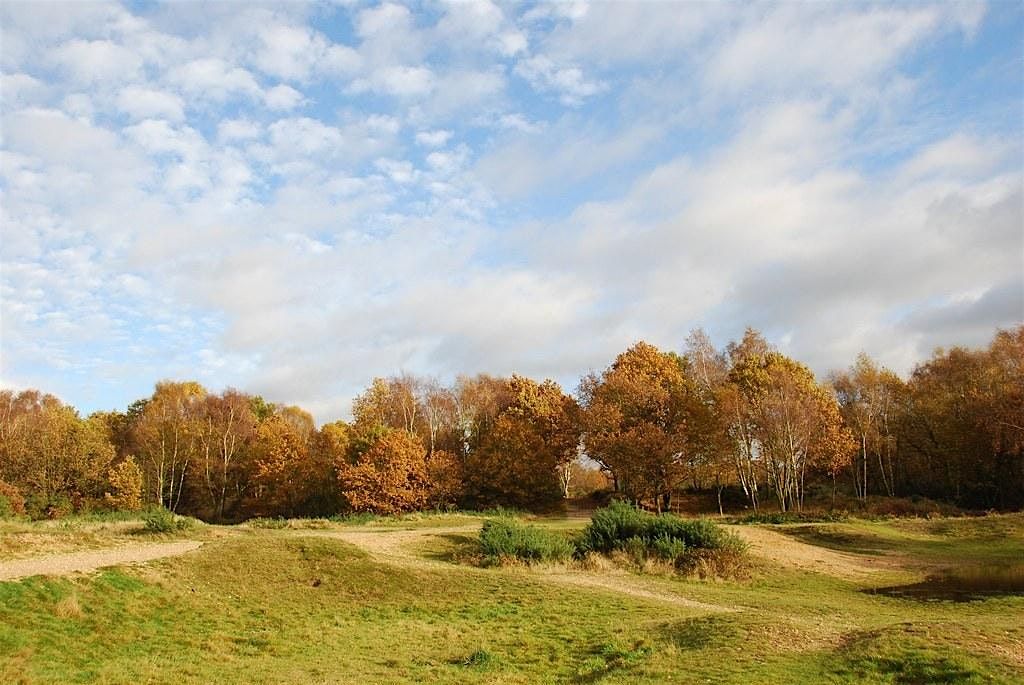 Norwich Natwalking with Entrepreneurs