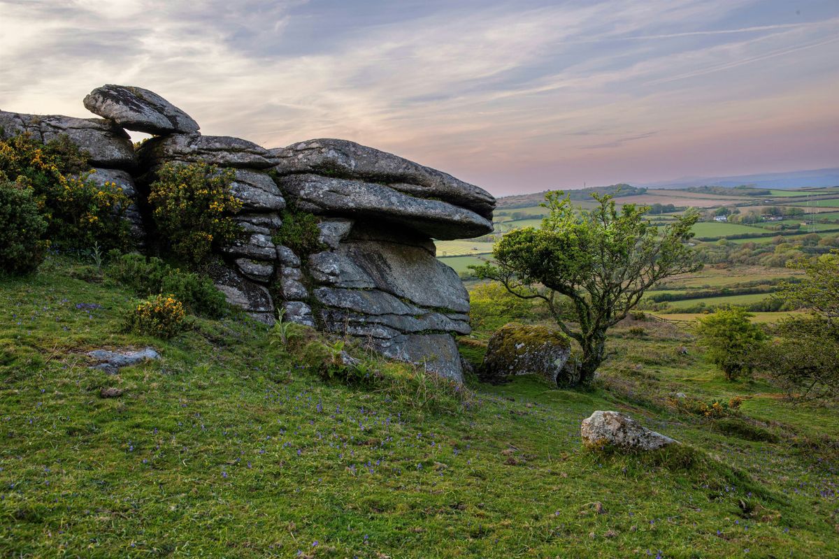 Winter at Breney Common and Helman Tor: A Guided Walk
