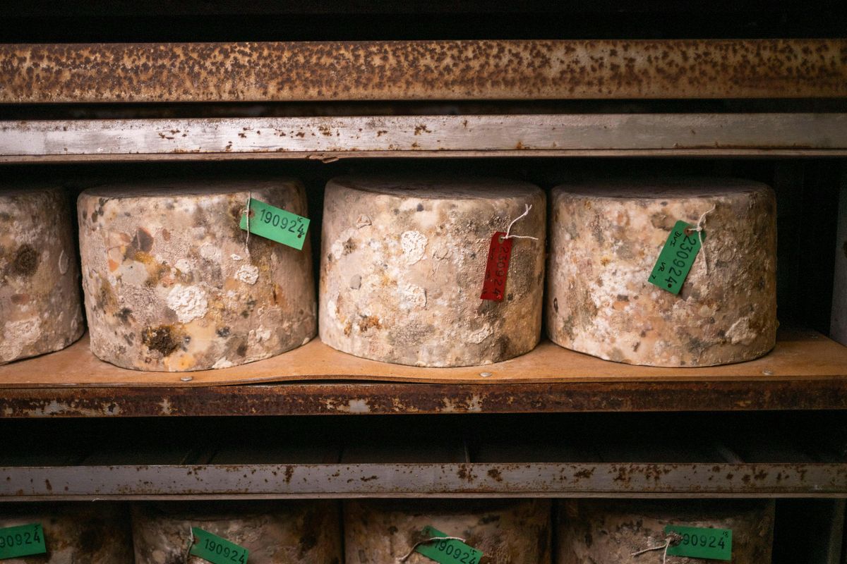 Quicke's Cheese Tour 3rd July