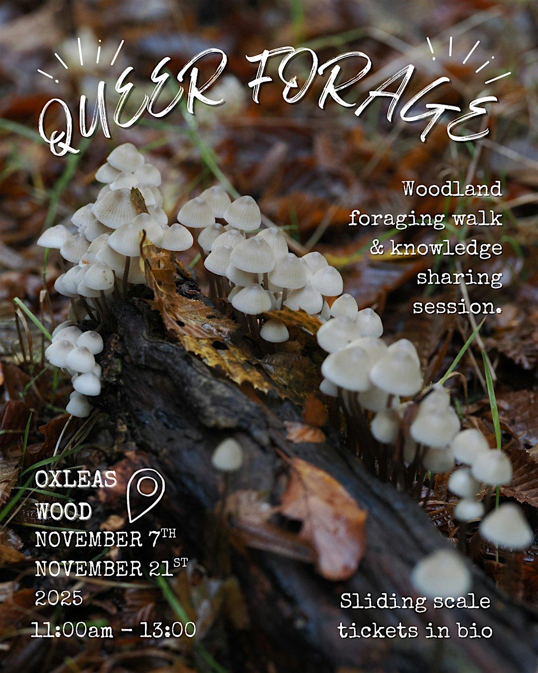 Queer Forage & Identification Walk