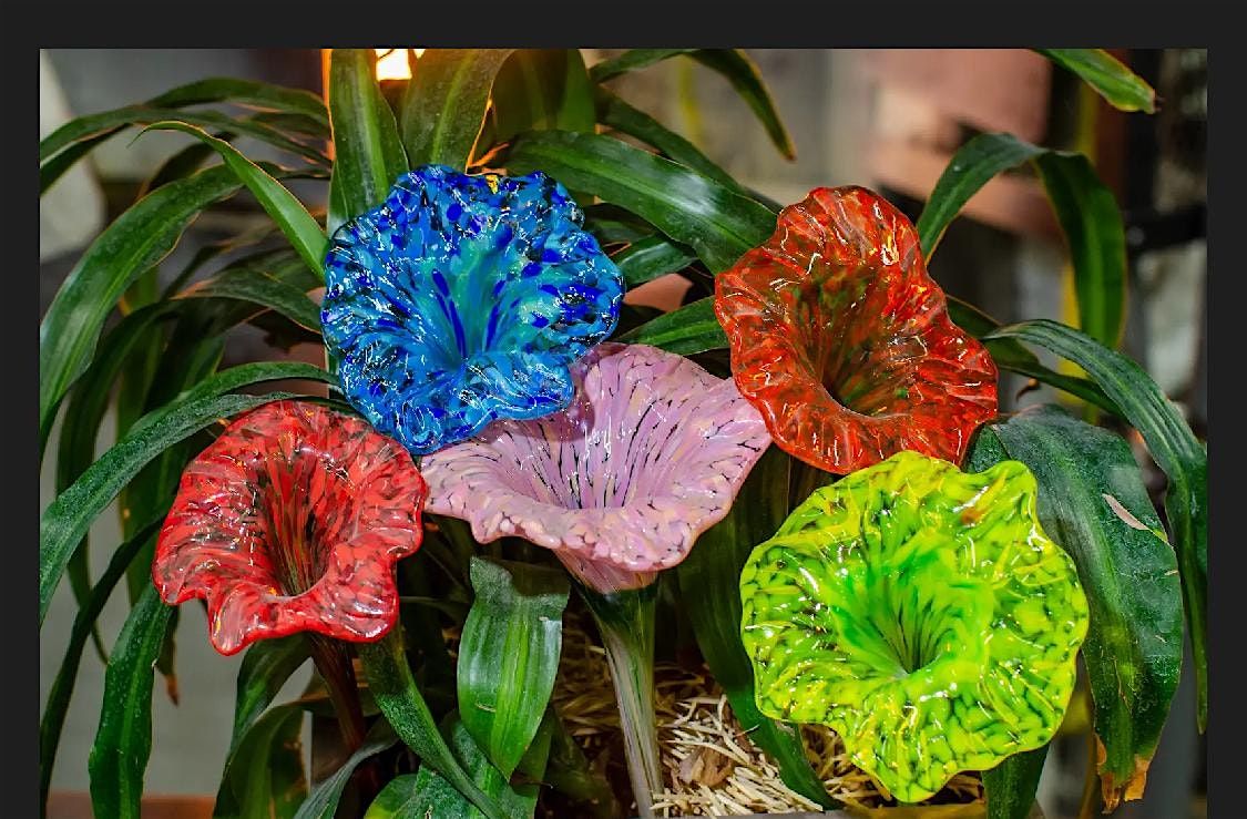 Plant-Watering Stakes! Beyond pulled flowers. Not here to just look pretty.