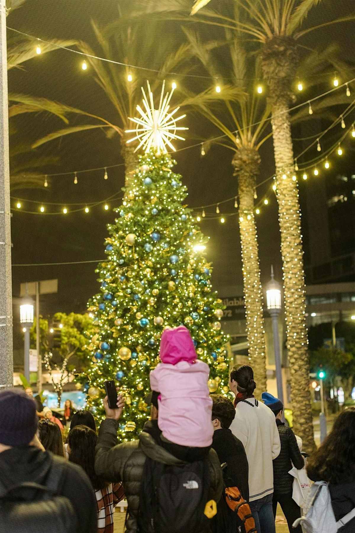 Holiday Tree Lighting