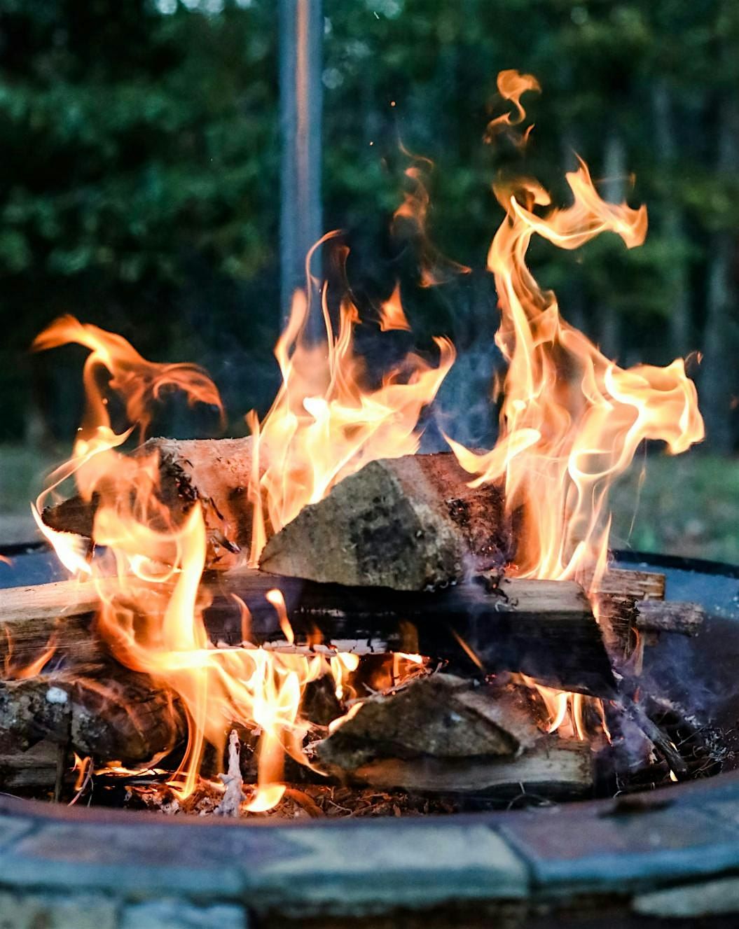 Bonfire Night-IN THE DAY! A Forest School Event