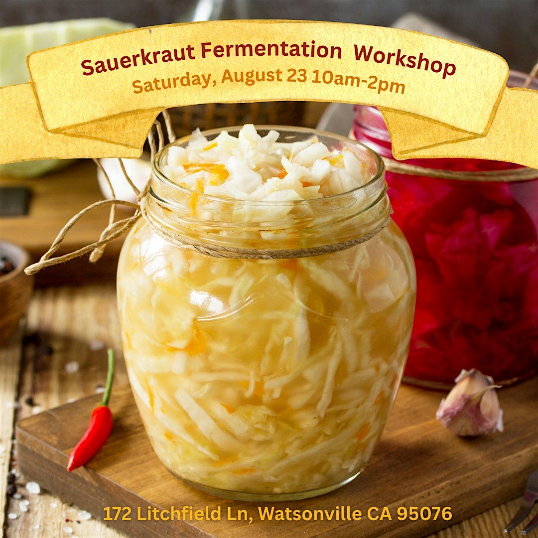 Sauerkraut Fermentation Workshop