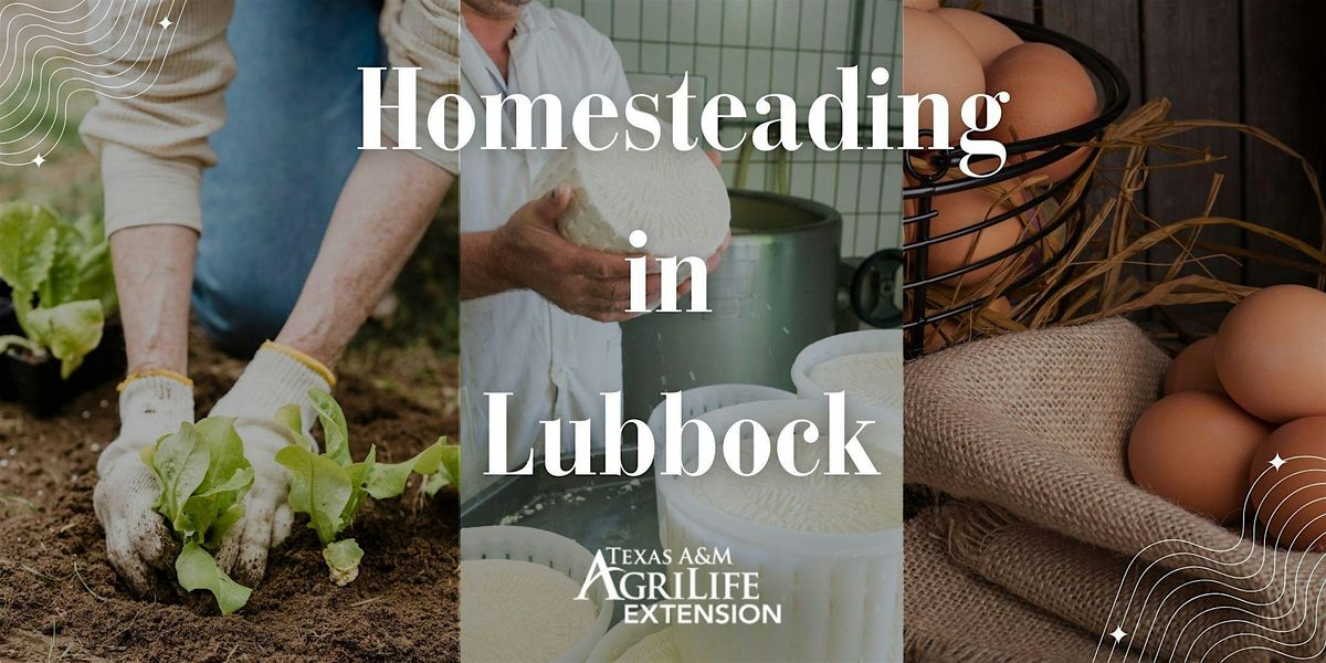 Homesteading In Lubbock