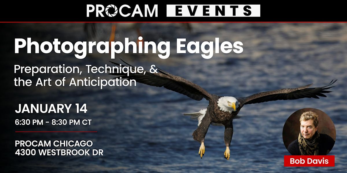 Photographing Eagles: Preparation, Technique, and the Art of Anticipation