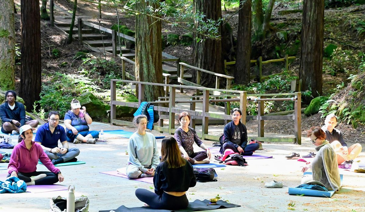 Hike and Meditation Pop-up by Mindful Movement