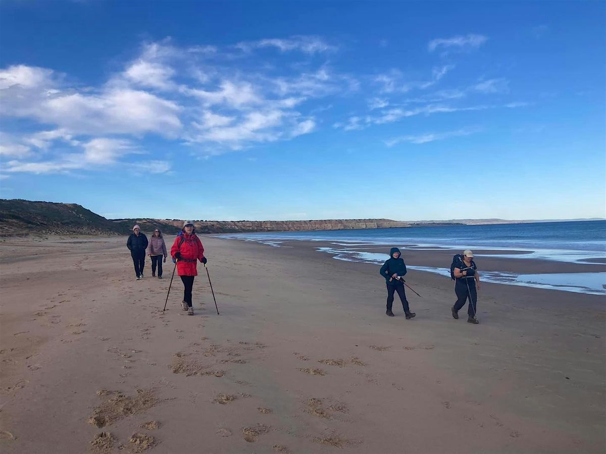Willunga Basin Trail - Section 5- Sunday 7th December