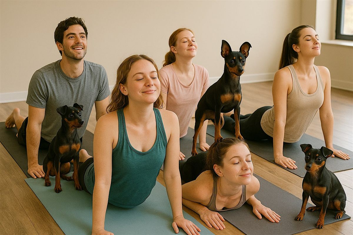 Puppy Yoga - December 13th with Great Danes