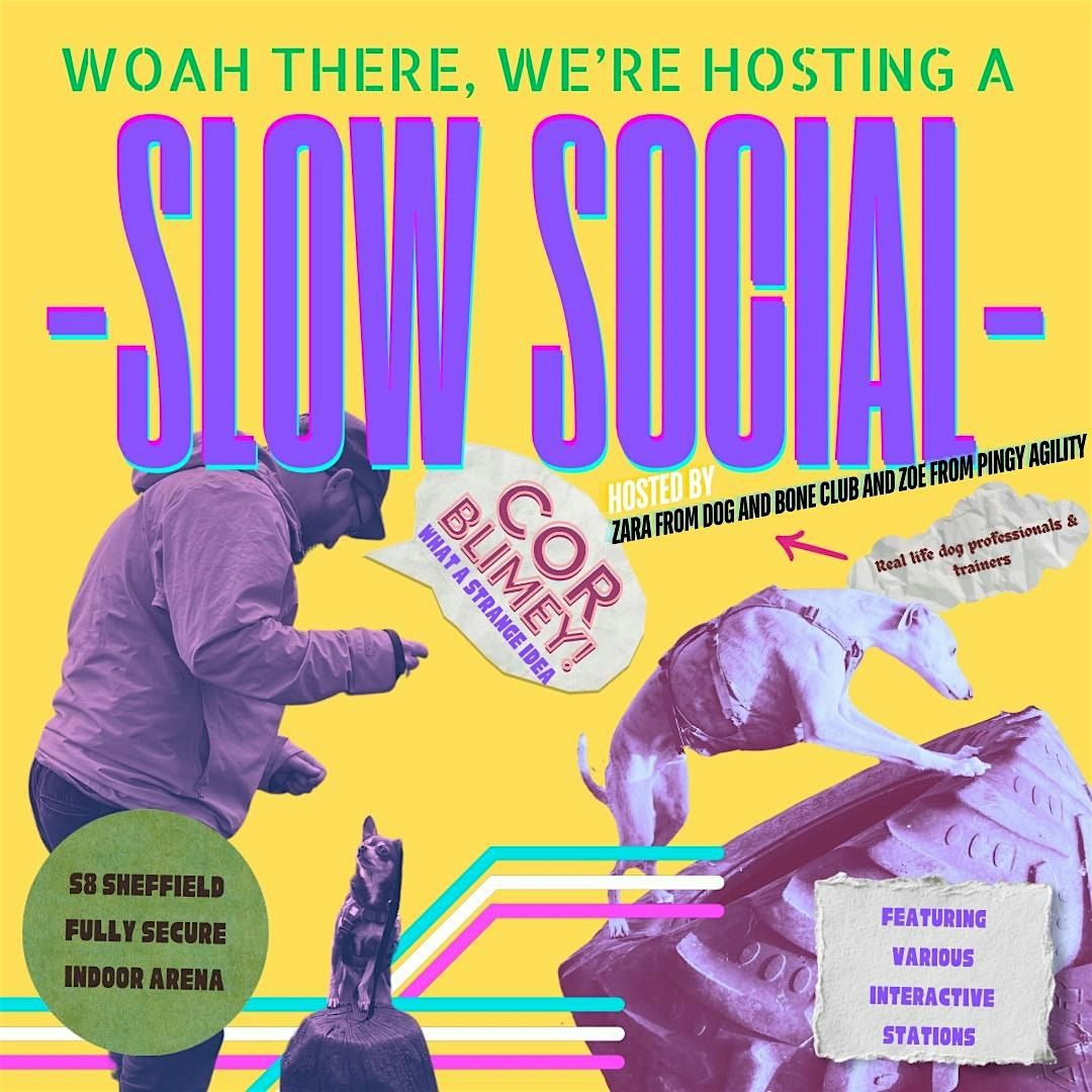 ON lead SLOW SOCIAL dog social - a smorgasbord of canine enrichment S8