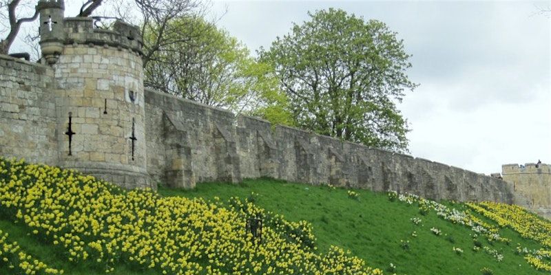 Discovering York's City Walls