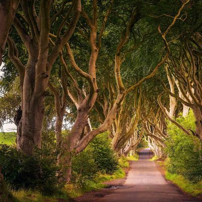 #WomenEd Northern Ireland