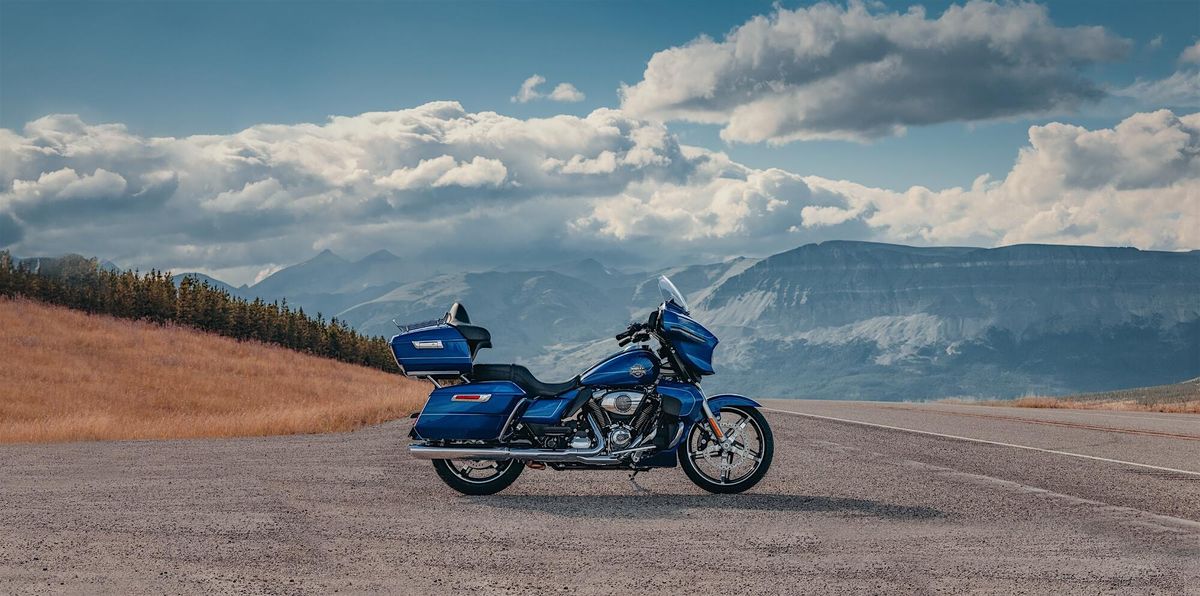 Harleys After Dark