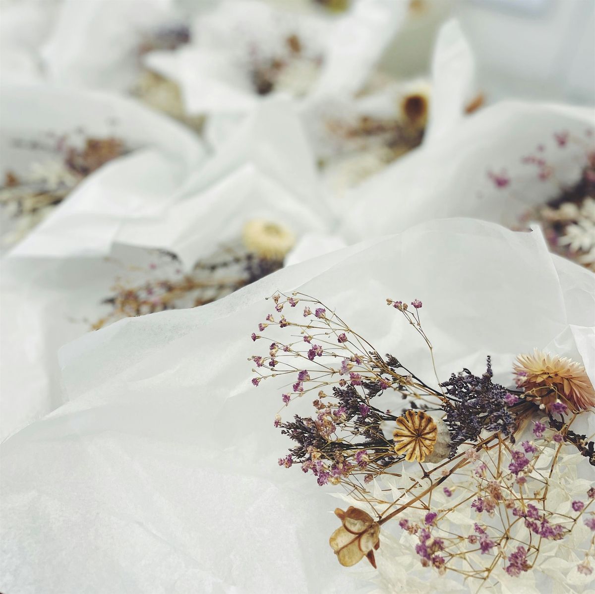 Everlasting Dried Flowers Workshop