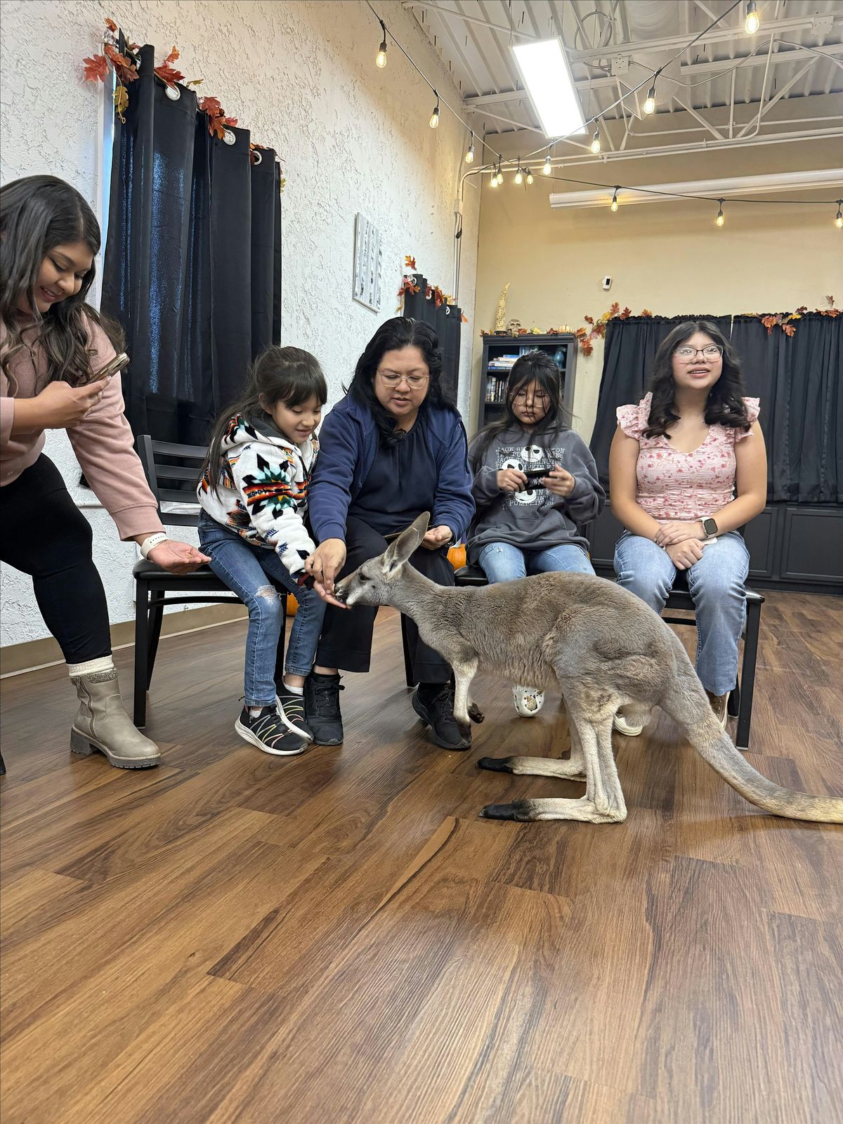 ROO-dolf\u2019s Holiday Hangout (Adult Kangaroos)