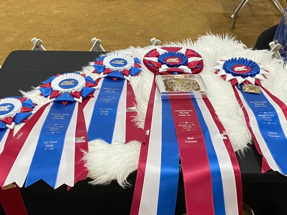 Chaparral Kennel Club Double Header 2 Shows! Southern New Mexico