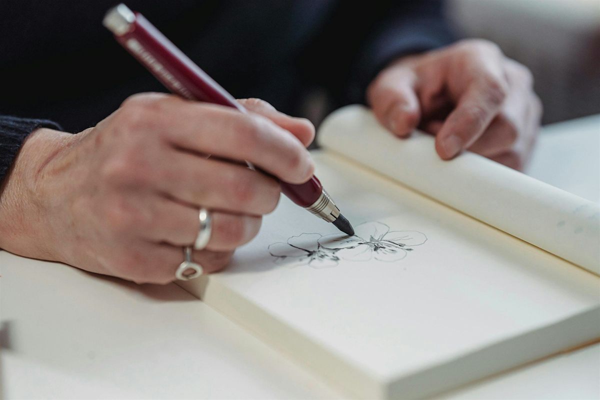 Botanical Drawing for Beginners