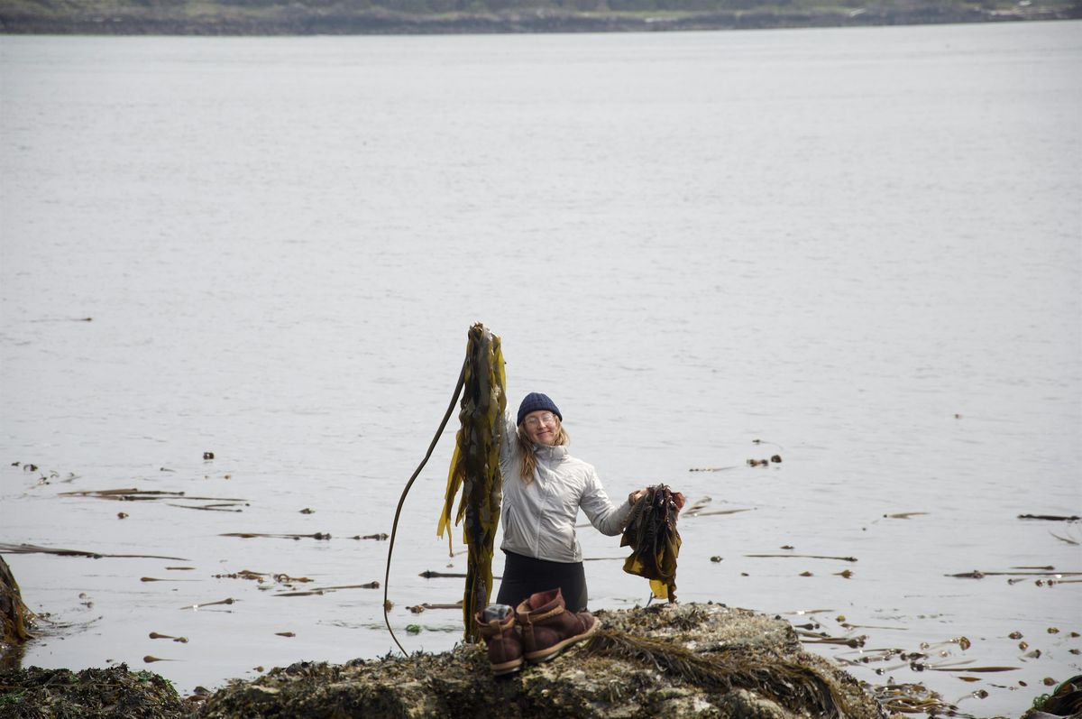 Seaweed Field Excursion at Point Partridge, Fort Ebey, Coupeville on ...