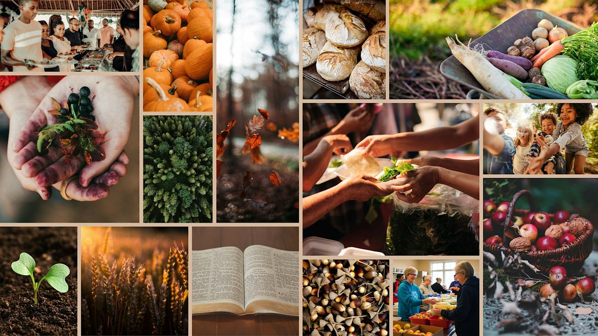 Seeds of Faith: Finding Hope in Creation\u2019s Abundance