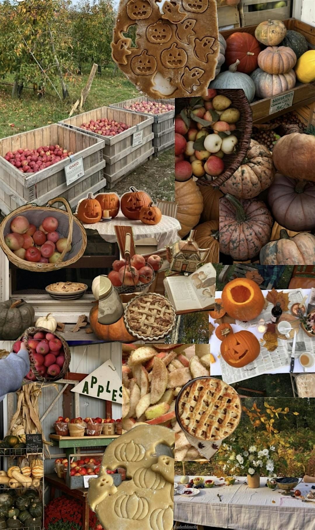 Fall Harvest Cookie Class