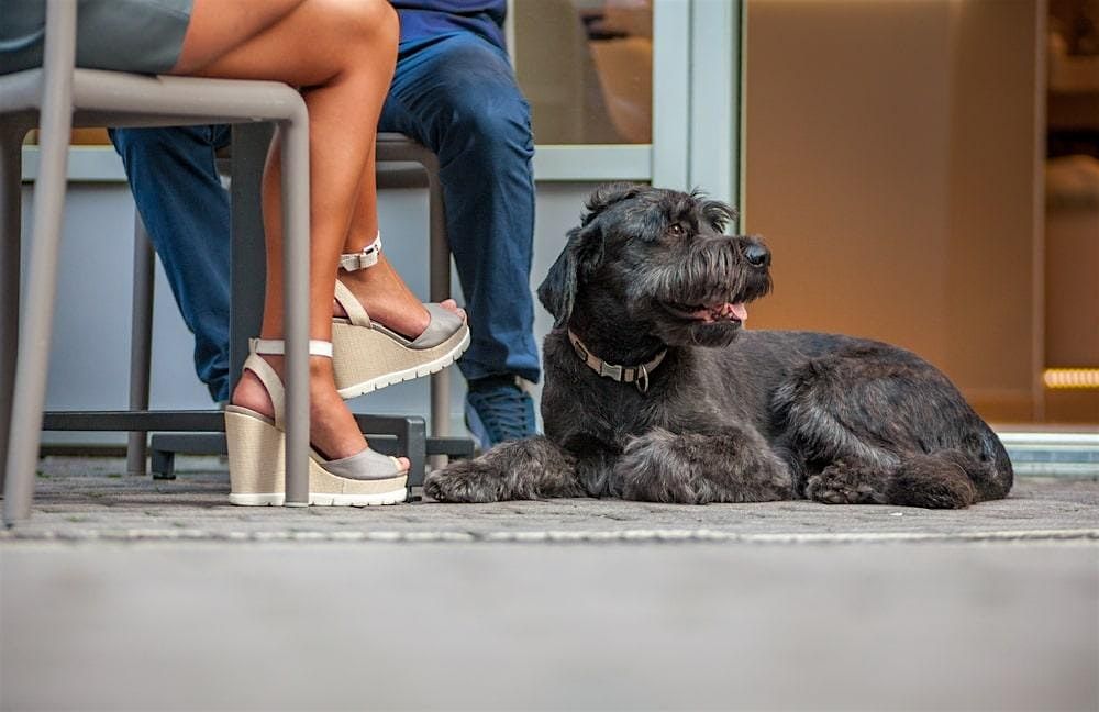 Austin Blind Date Matchmaking and Complimentary Events