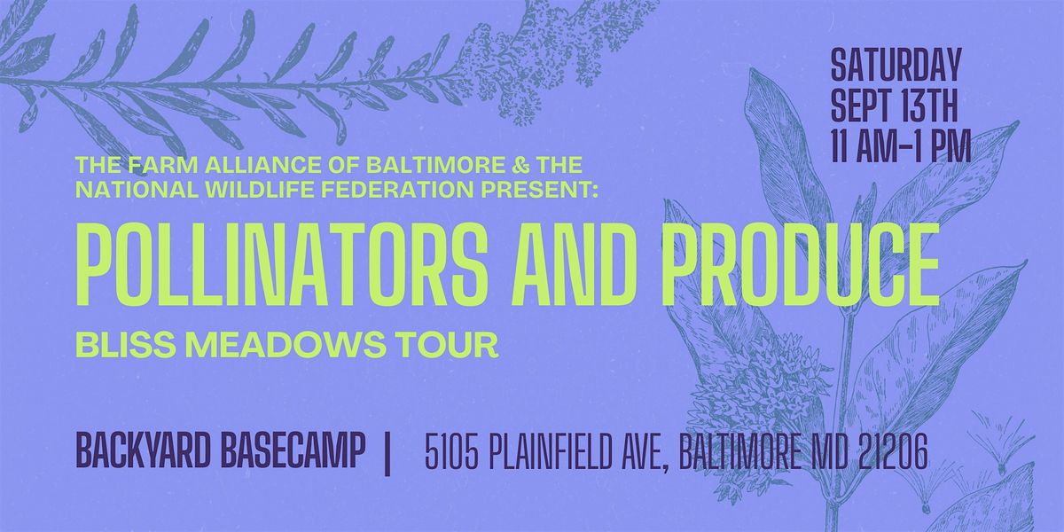 BLISS Meadows Tour