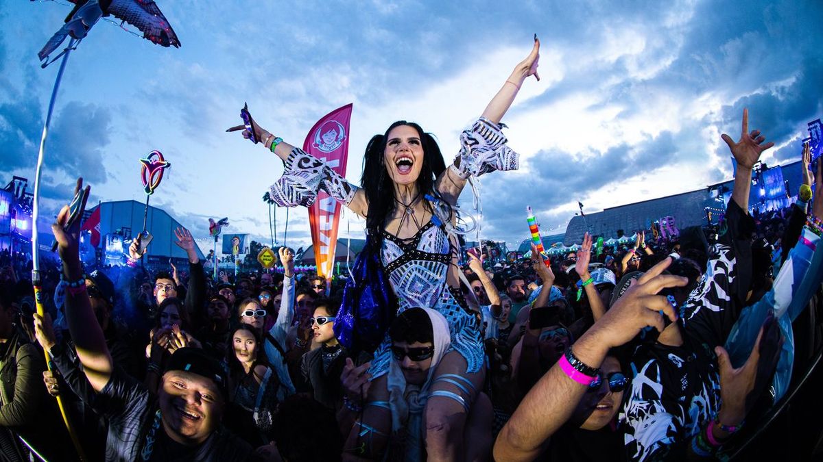 Nocturnal Wonderland