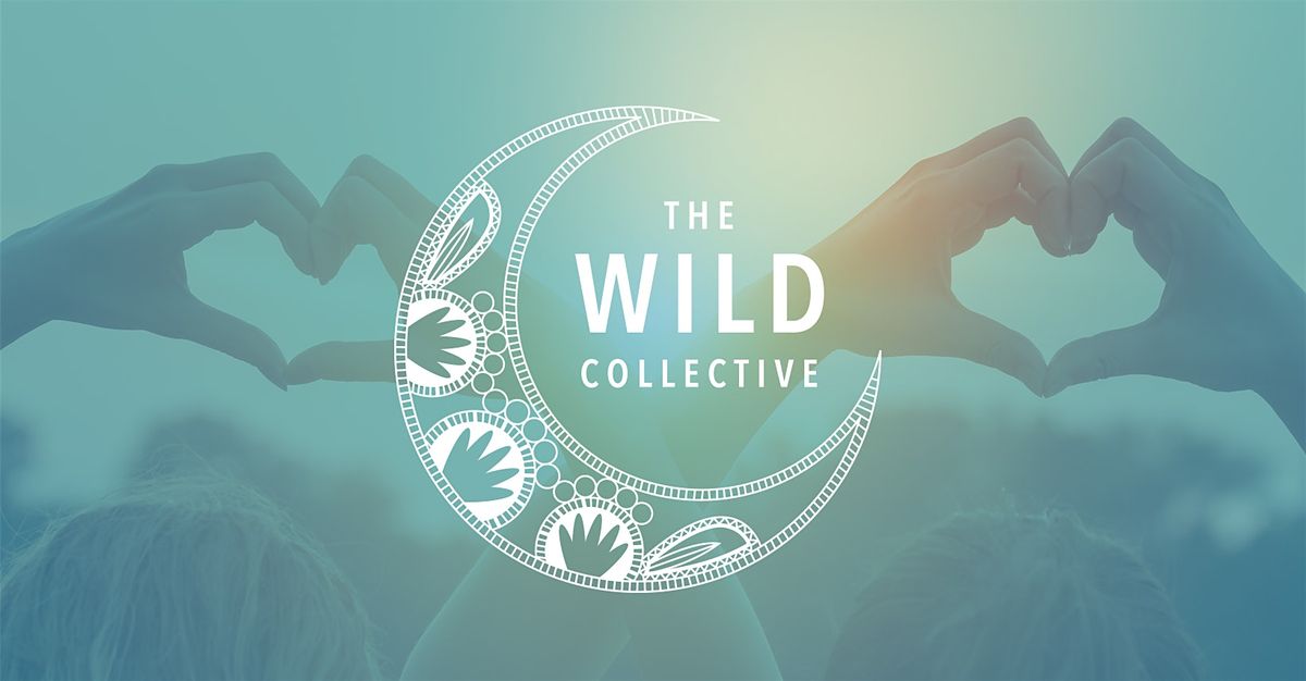 The Wild Collective - Information Session