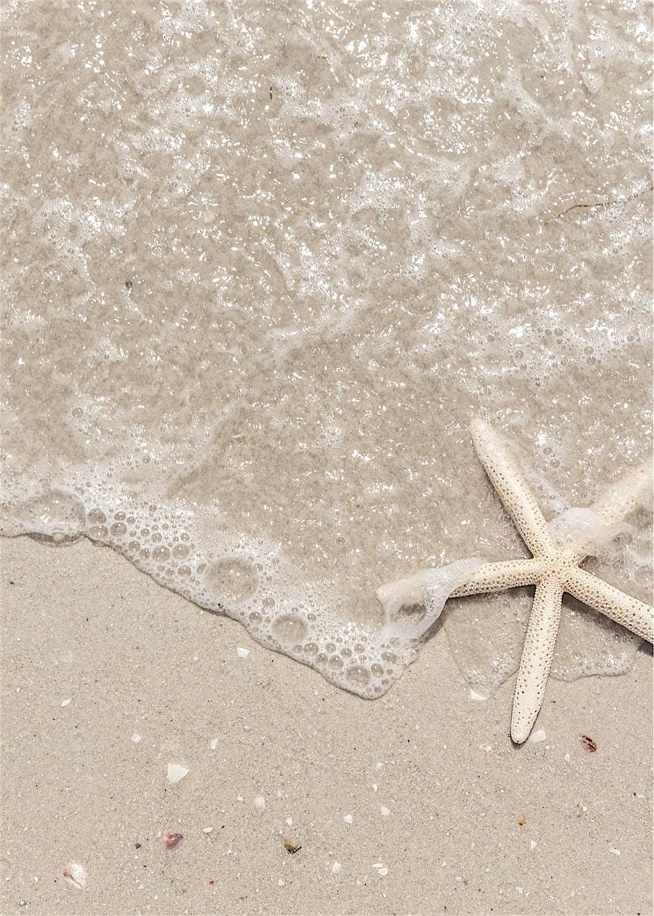 Copy of Wilmington PLA Lunch