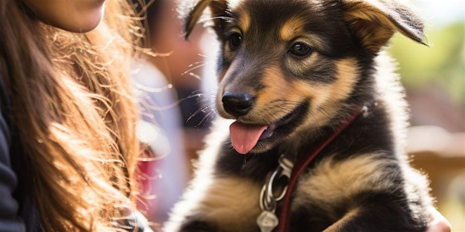 Paws of War Fundraiser