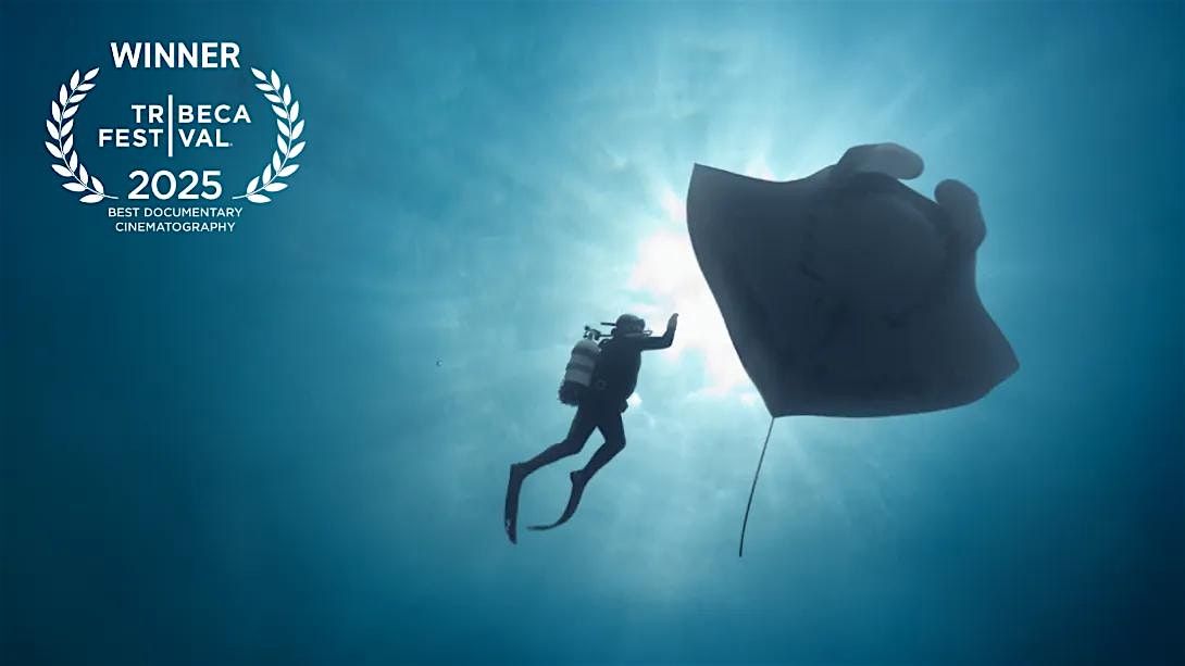 The Last Dive Screening and Director Q&A