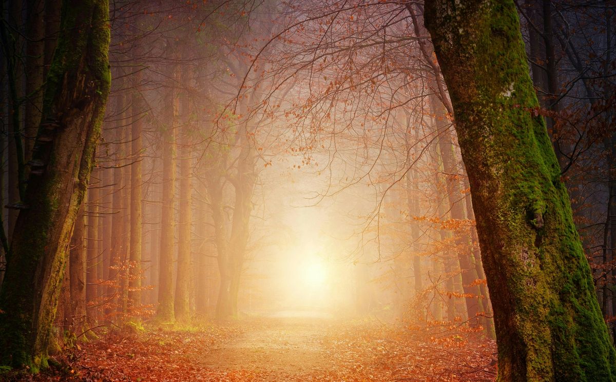 Sound Bath for Deep Relaxation