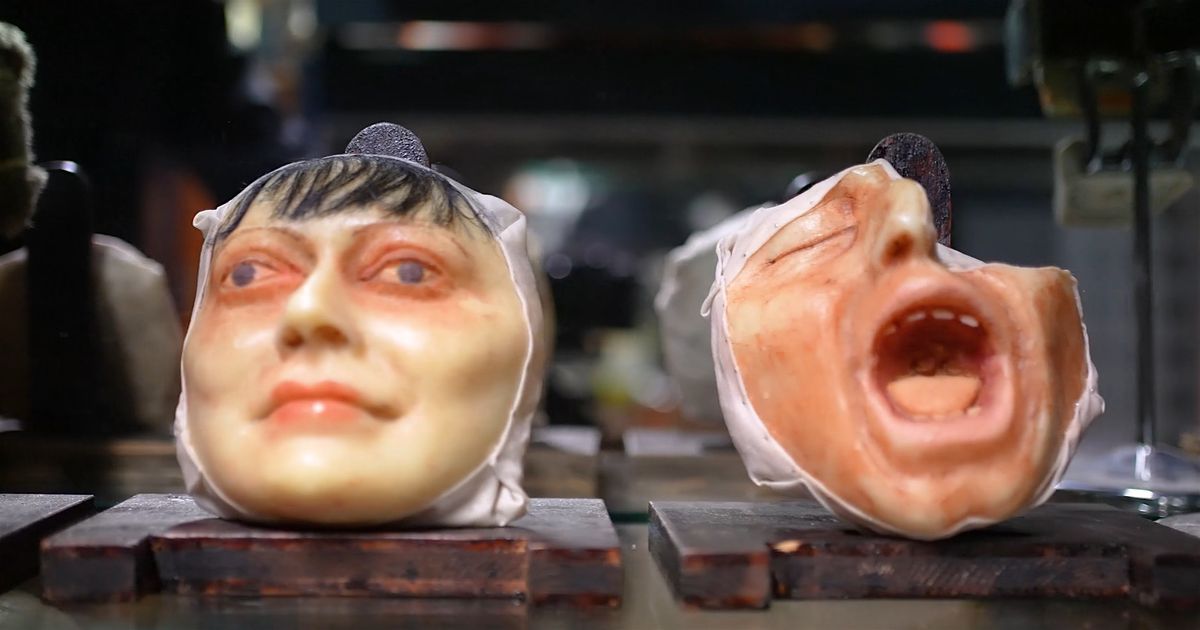 Culture Night at the Museum of Curiosities