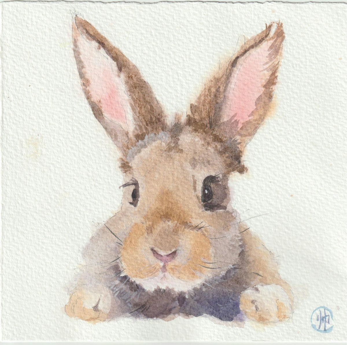Watercolor Animal Painting Class - 8 Week Beginner Course | Paint Your Pet
