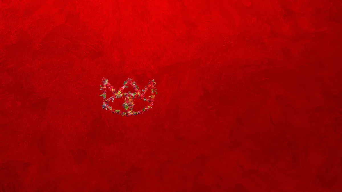 The Cat Empire in Black Rock North