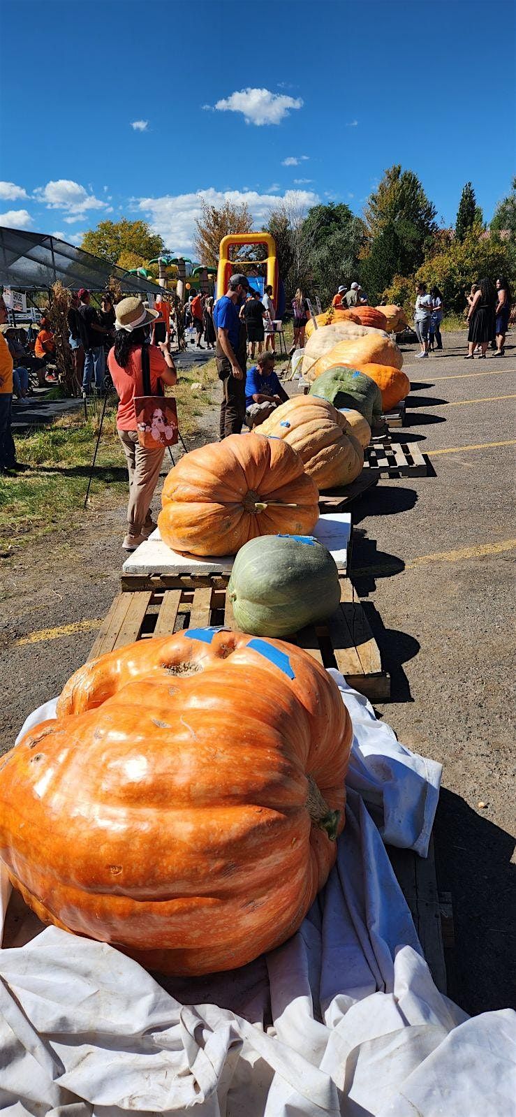 Jared's 20th Annual Giant Pumpkin Drop and Festival