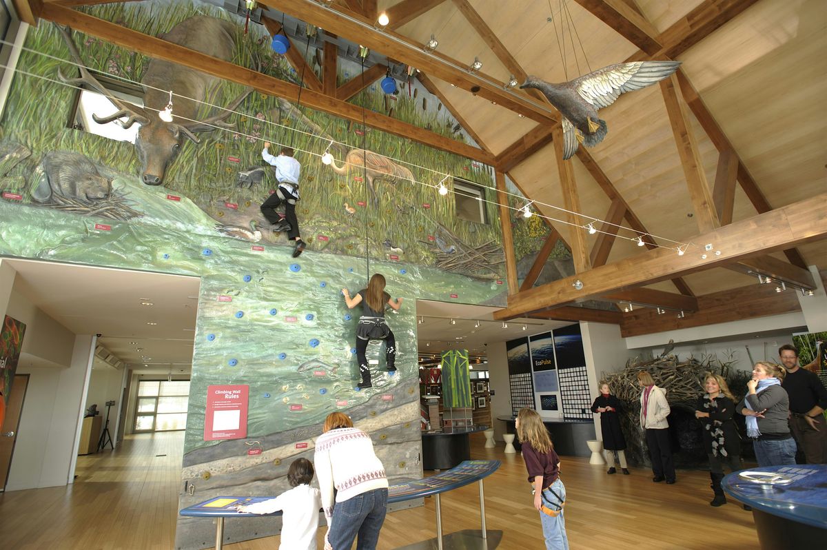 Swaner Wetland Climbing Wall (2025)
