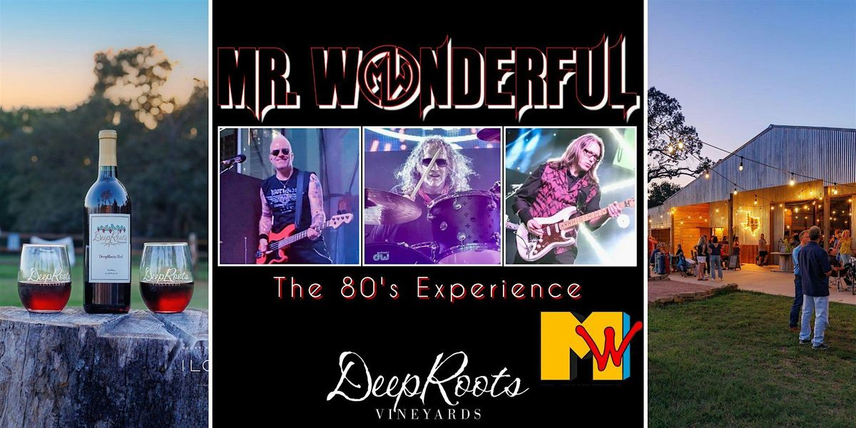 80's EXPERIENCE by Mr. Wonderful |Texas wine & craft beer | DeepRoots