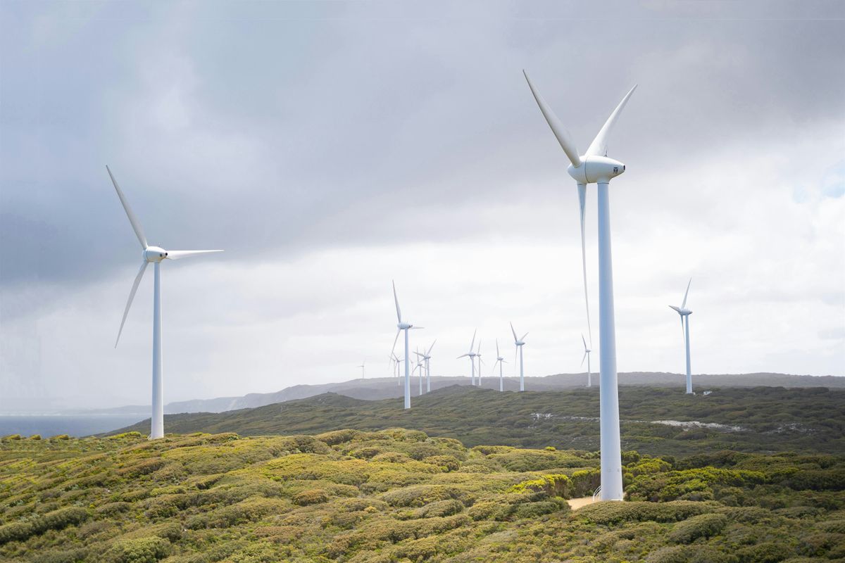 Monthly Climate Club @ Manny's - Reconnecting to Environmental Action