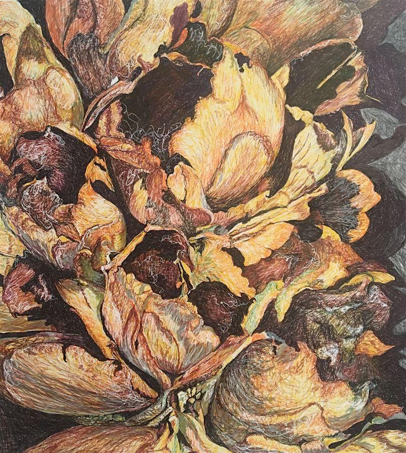 Drawing Basics w\/Nora Dixon (4 sessions): Thursdays 10\/9-10\/30