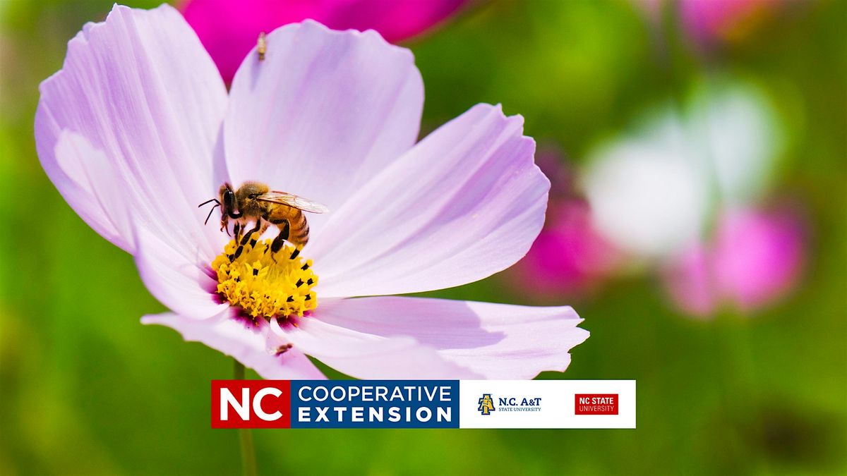 Beginning Beekeeping Course - Honey Bee Parasites, Diseases - Week 5